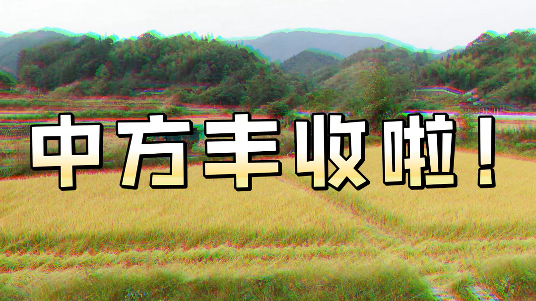 视频｜在中方，一年四季都是丰收！