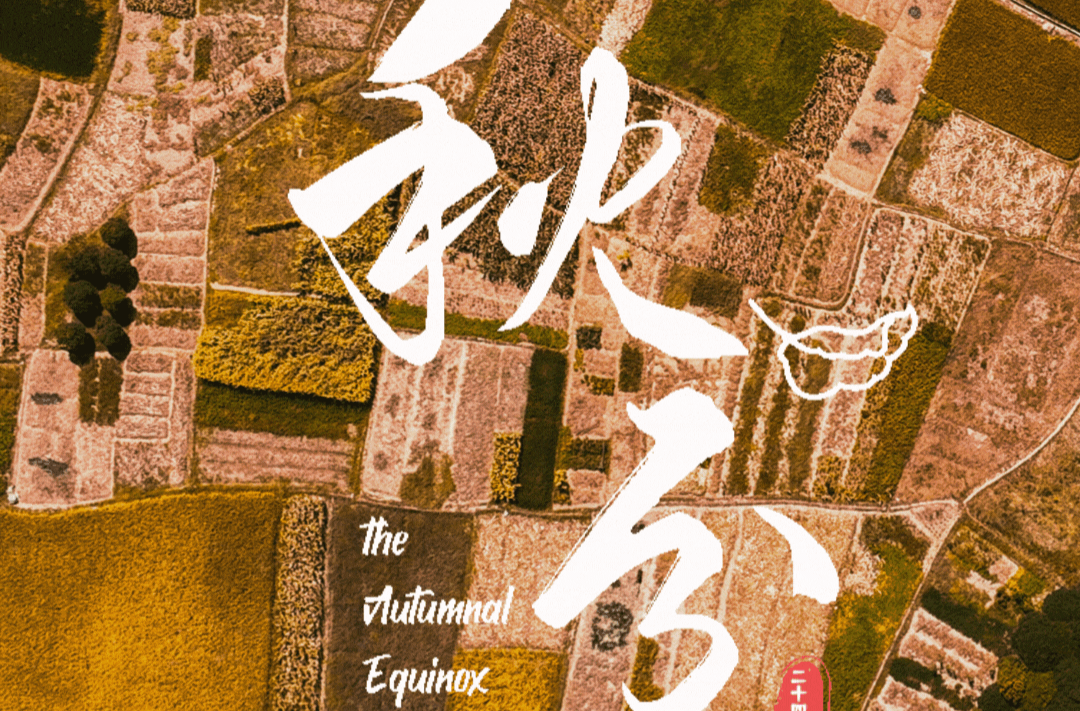 动态海报｜文化中国行·二十四节气里的中方——秋分