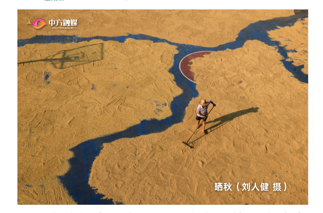 海报|早安中方·从学法开始（238）