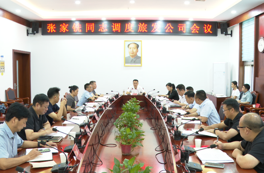 张家铣专题调度县旅发公司工作