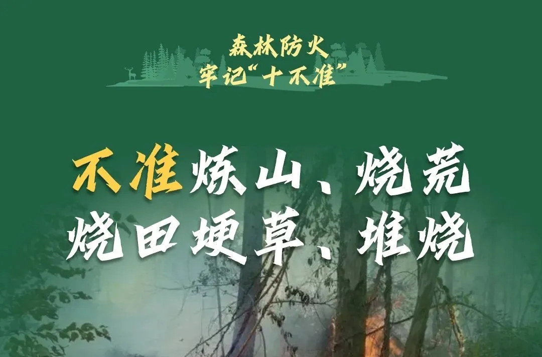 十不准！当前森林火险等级较高