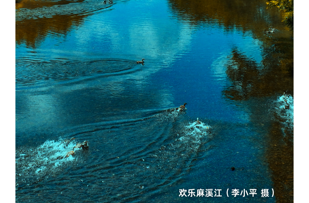 海报|早安中方·从学法开始（250）