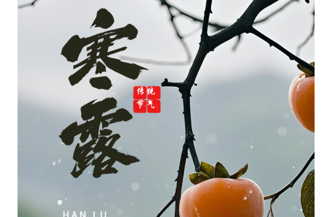 海报|早安中方·从学法开始（251）