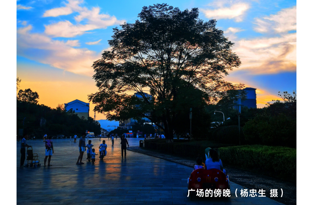海报|早安中方·从学法开始（254）