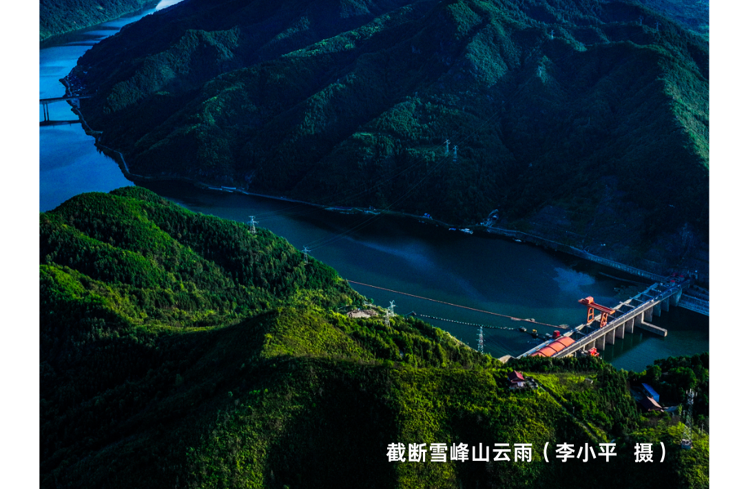 海报|早安中方·从学法开始（255）
