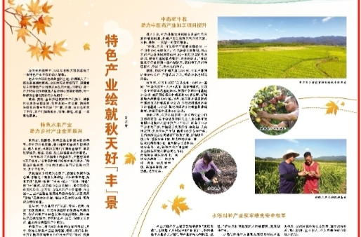 怀化日报专版|中方县：特色产业绘就秋天好“丰”景