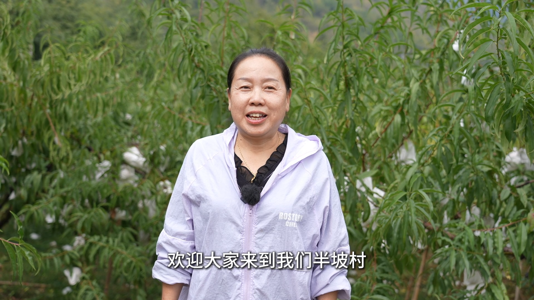 视频|冬桃熟了！中方县花桥镇半坡村村支书邀您共赴甜蜜之约！