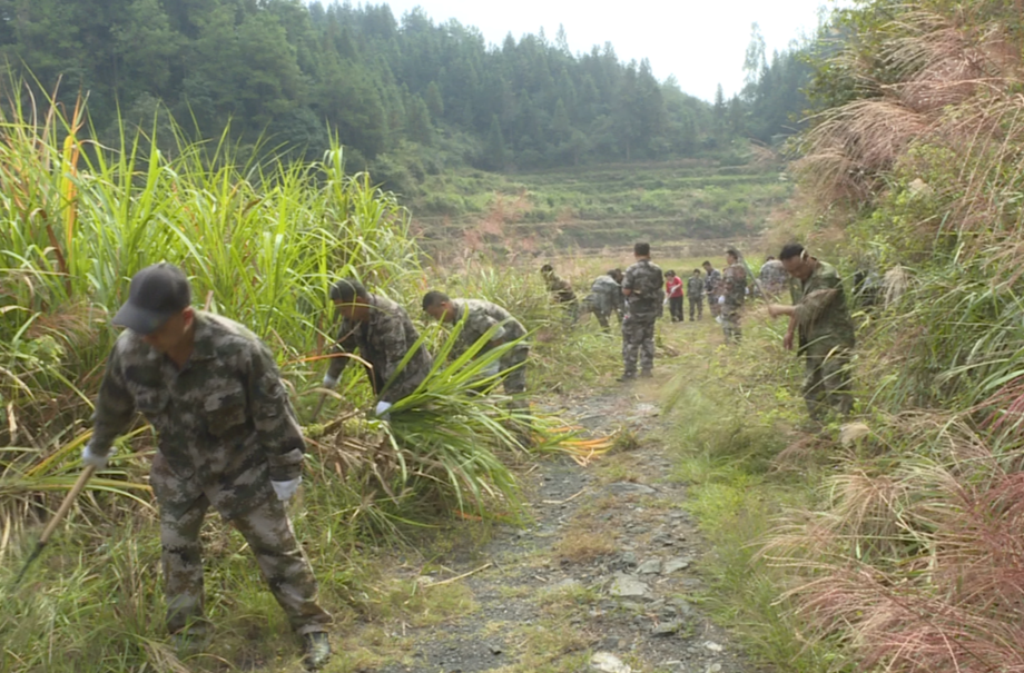 视频|中方县新建镇：实战演练筑防线，林下清杂保安全