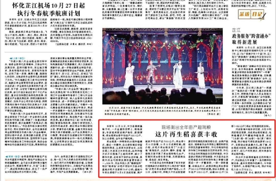 怀化日报|现场测出全年亩产超吨粮  这片再生稻喜获丰收