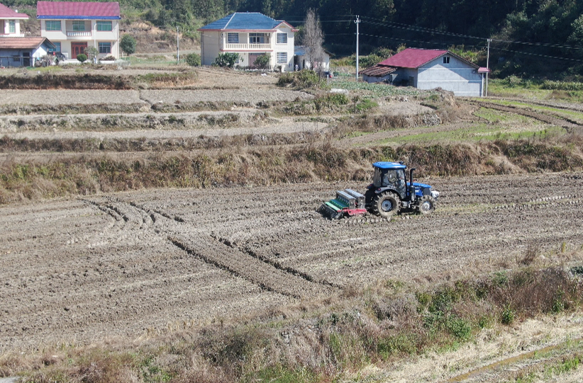 希望的田野｜中方：“稻油轮作”让冬闲田变增收田