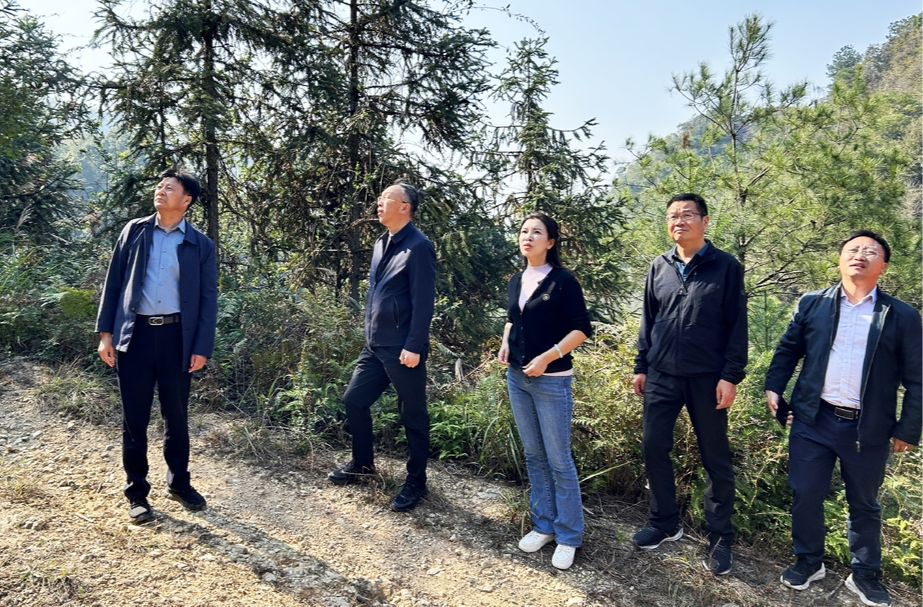 国家林草局到中方调研森林防火工作