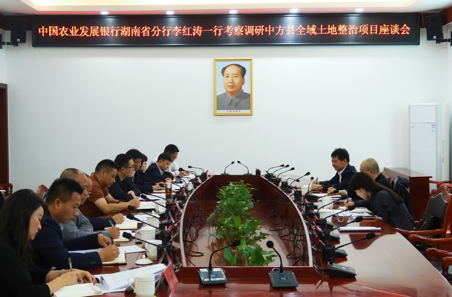 中国农业发展银行湖南省分行李红涛一行到中方县考察调研全域土地整治项目