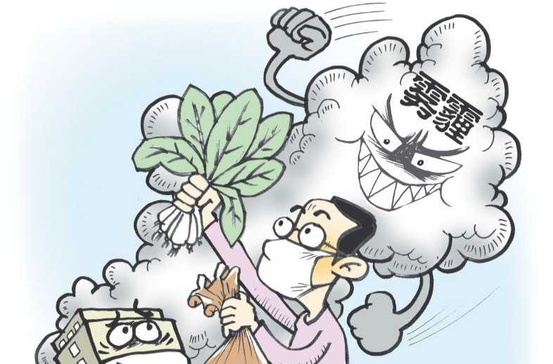 猪血、青菜能“吸附”雾霾？没有科学依据