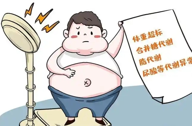 “减肥神药”真能终结肥胖？权威指南来了