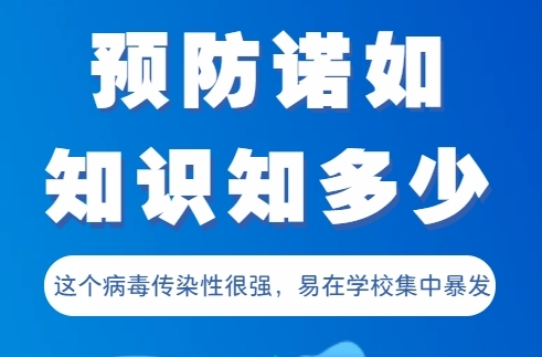 H5|预防诺如知识知多少