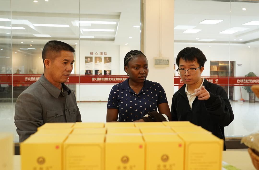 中方：从“南”到“北”非洲客商寻“艾”而来