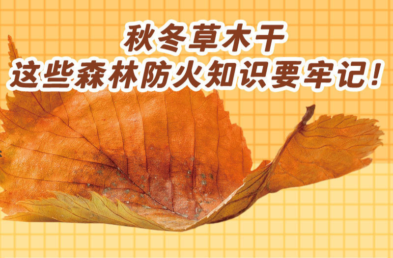 安全科普 | 秋冬草木干，这些森林防火知识要牢记！