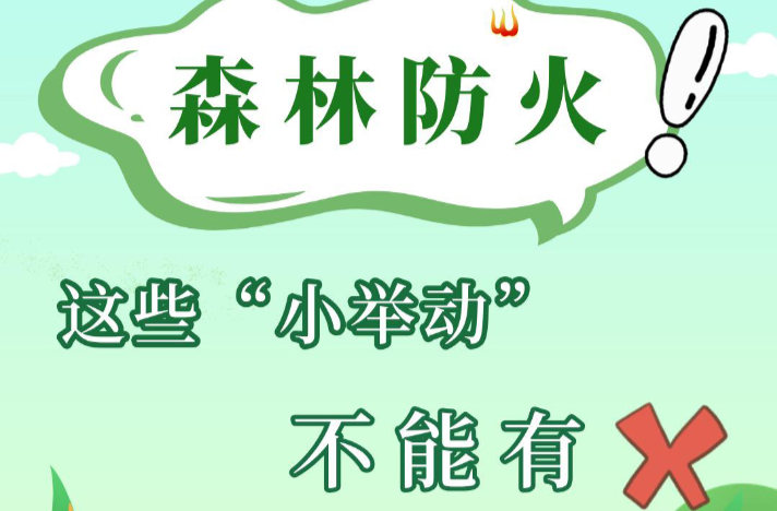 安全科普 | 森林防火，这些“小举动”不能有！