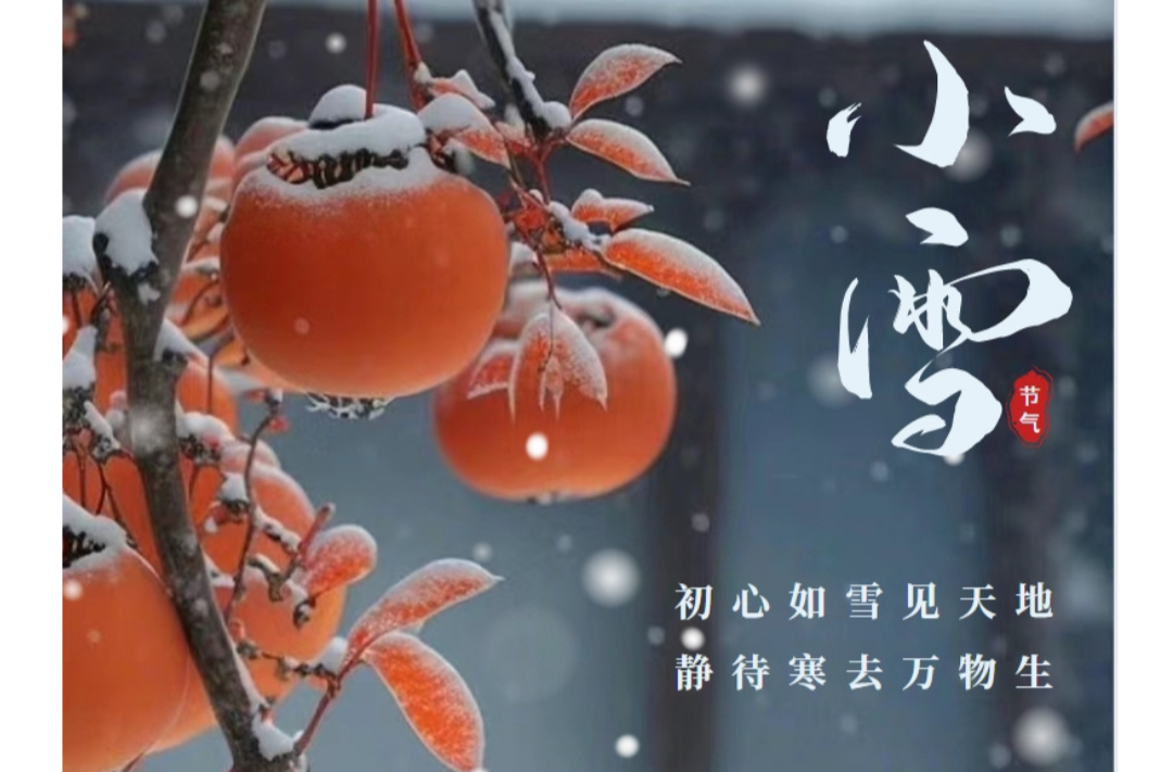 海报|早安中方·从学法开始（296）