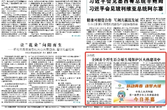 怀化日报头版|中方县：全国首个野生百合原生境保护区火热建设中