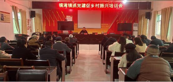 中方县铜湾镇召开“抓党建促乡村振兴”农村党员能力素质提升培训会