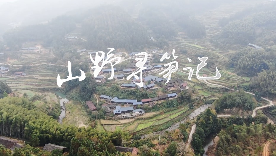 视频｜山野寻笋记——中方县林下竹笋撬开村民致富路