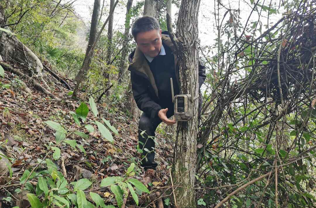 中方县：红外线相机助力野生动物监测保护