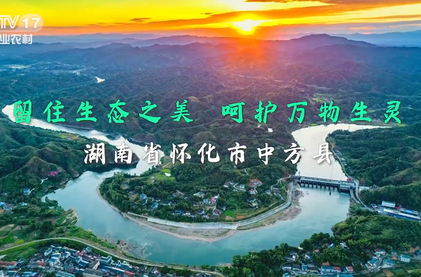 中方县生物多样性宣传短片在中央广播电视总台农业农村频道播出