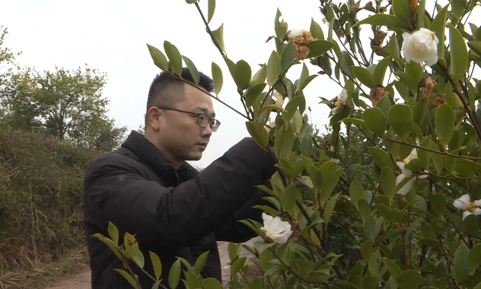 代表委员风采|周超：做强油茶助振兴 履职尽责显担当