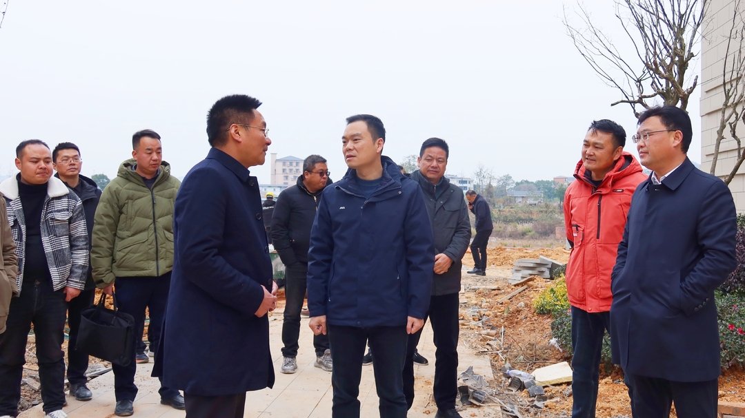 胡杰现场督导保交房及荆坪古村项目建设工作