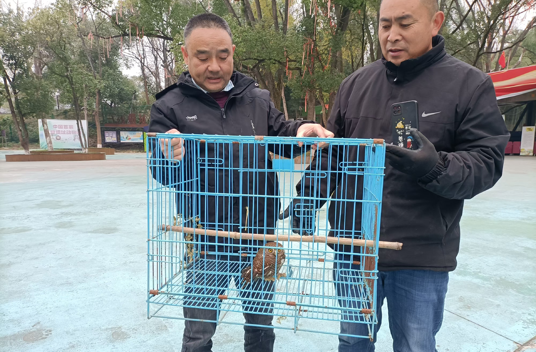 中方县：积极做好野生动物救助工作