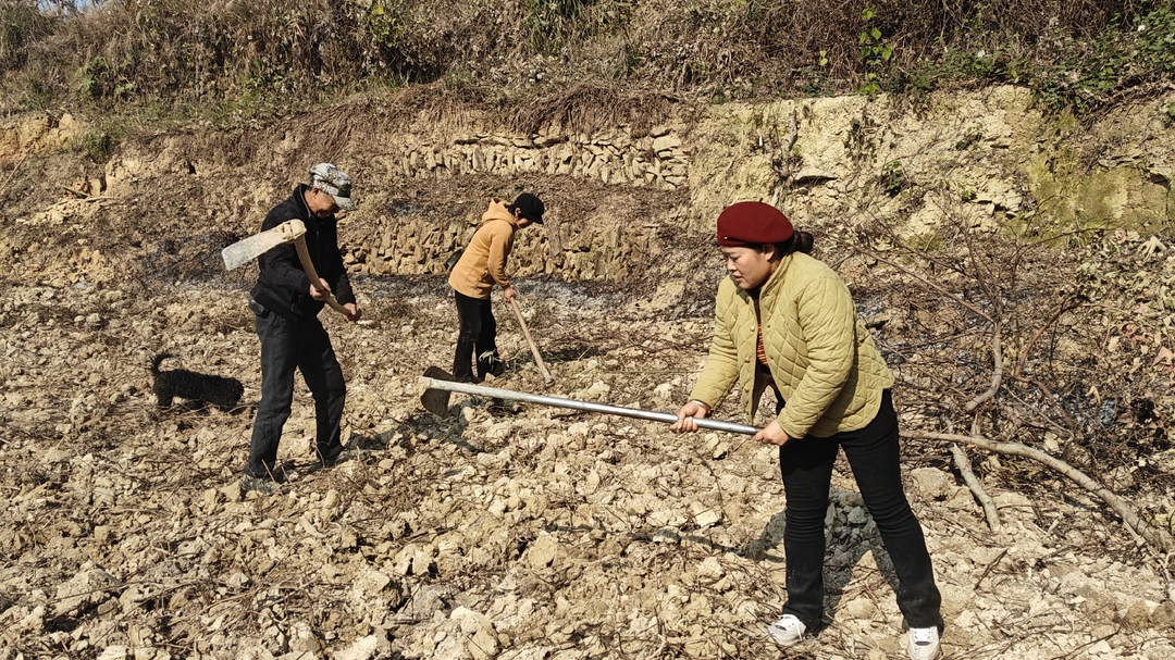 希望的田野|中方县蒿吉坪瑶族乡三岔溪村：山坡变梯田 荒地变为沃土