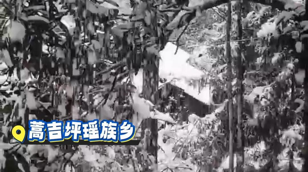 视频|2025年中方县首场雪如期而至了！