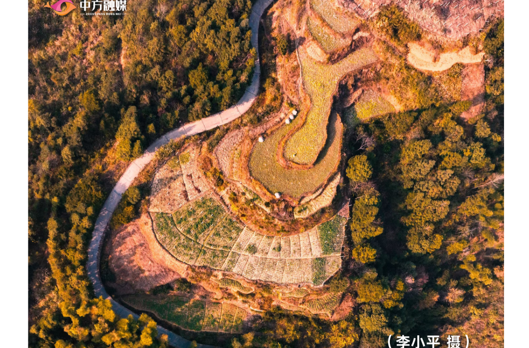 海报|早安中方·从学法开始（352）