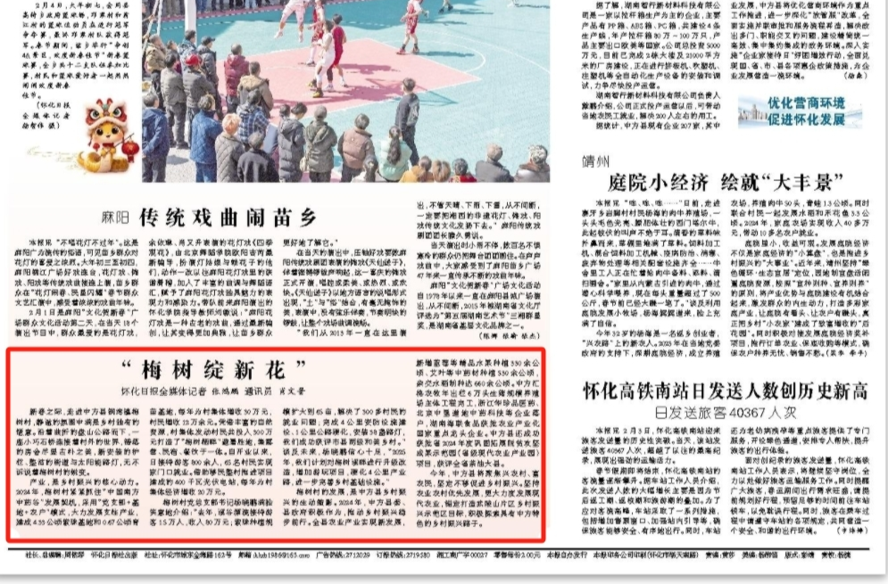 怀化日报头版|中方县铜湾镇：“梅树绽新花”