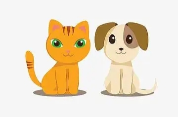 “猫猫狗狗”可爱，但也容易伤人……