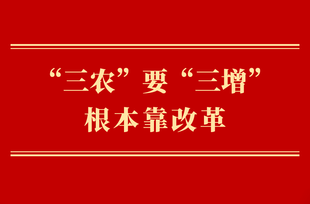 第一观察｜“三农”要“三增”　根本靠改革