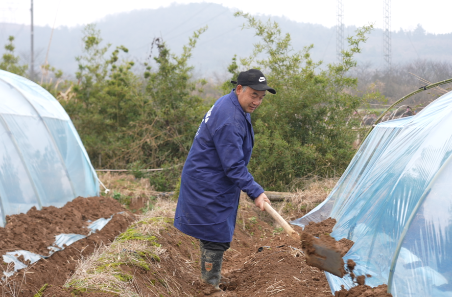 希望的田野|中方县：春耕正当时！西瓜地里种“希望”