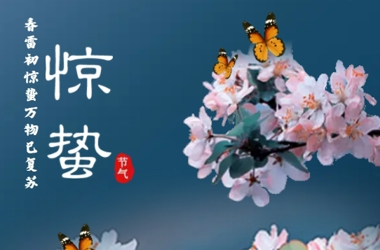 H5|春雷响 万物长 一切蛰伏的美好正在醒来