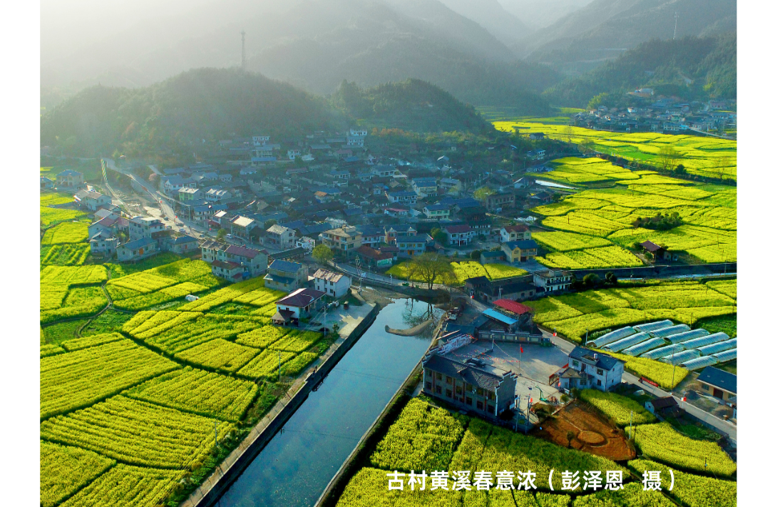 海报|早安中方·从学法开始（二月十五）