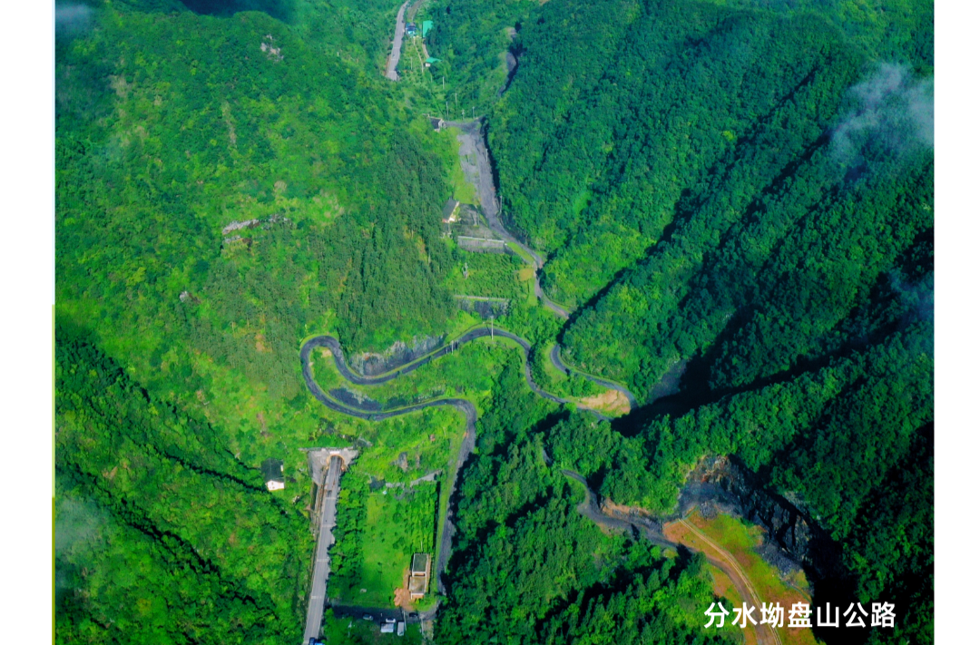 海报|早安中方·从学法开始（二月十一）