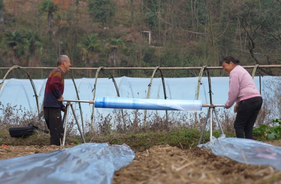 希望的田野|中方县桥上村：西瓜地里忙春耕 产业振兴有活力