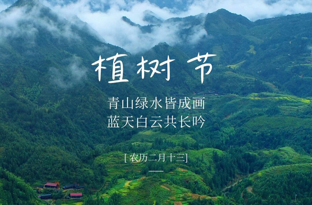 海报|植树节：青山绿水皆成画，蓝天白云共长吟