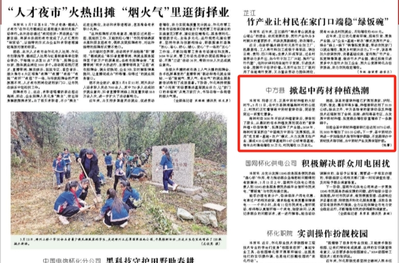 怀化日报|中方县掀起中药材种植热潮