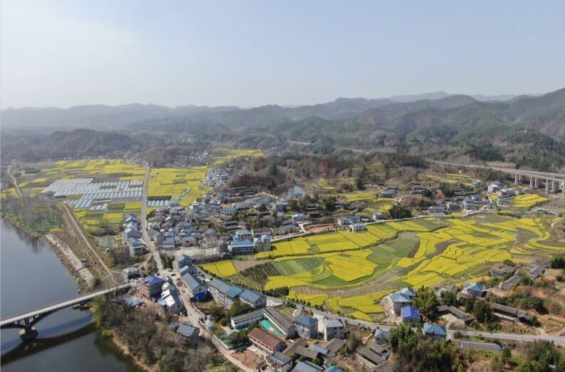 中方县桐木镇：推动三产融合发展，激发乡村振兴活力