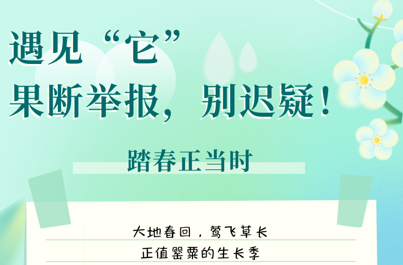 长图|踏春正当时，遇见“它”，果断举报，别迟疑！