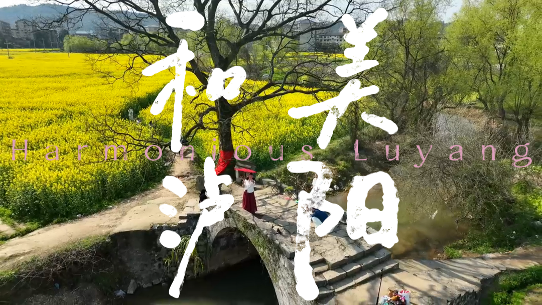 福地怀化·浪漫季|中方县：万亩花海绽和美  特色产业促振兴