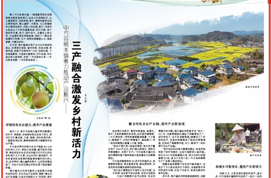 怀化日报|中方县桐木镇着力推动产业振兴——  三产融合激发乡村新活力