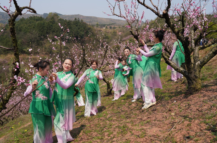 福地怀化·浪漫季｜2025年“三春桐木行·半界桃花约”活动盛大开幕
