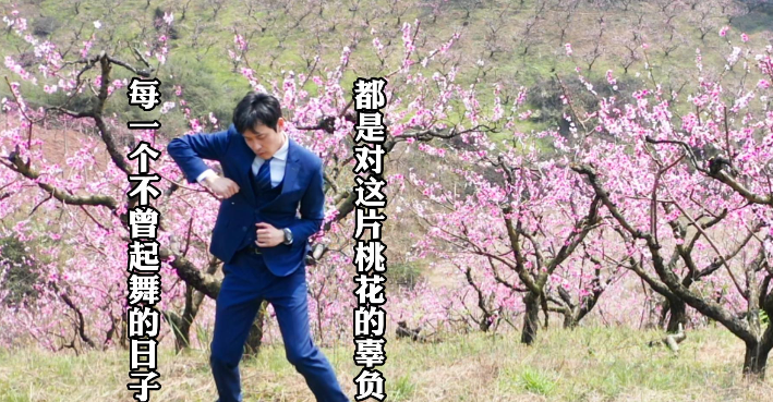 视频|每一个不曾起舞的日子，都是对这片桃花的辜负